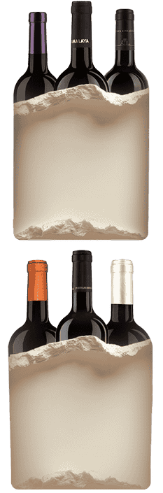 Mystery Tasting Box 4500