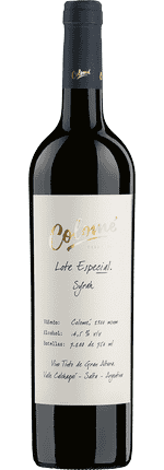 2020 Syrah Lote Especial Valle Calchaquí Bodega Colomé
