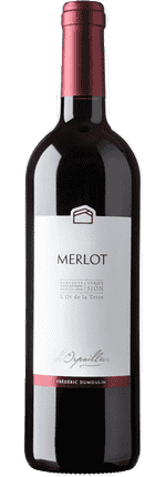 2023 Merlot Valais AOC L'Orpailleur - Frédéric Dumoulin