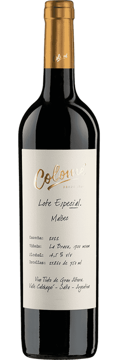 2022 Malbec Lote Especial La Brava Valle Calchaquí Bodega Colomé