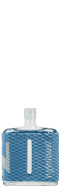 Gin Nginious Summer