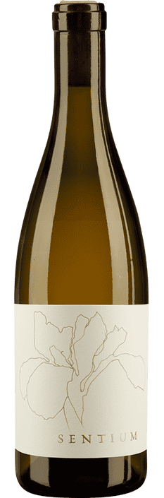 2022 Sentium Sauvignon Blanc Mendocino Wines