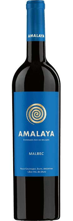 2023 Malbec Amalaya Valle Calchaquí Bodega