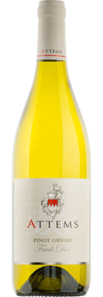 2022 Pinot Grigio Friuli DOC Conti Attems