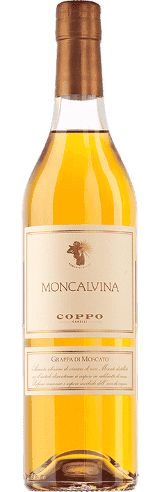 Grappa di Moscato Moncalvina Coppo