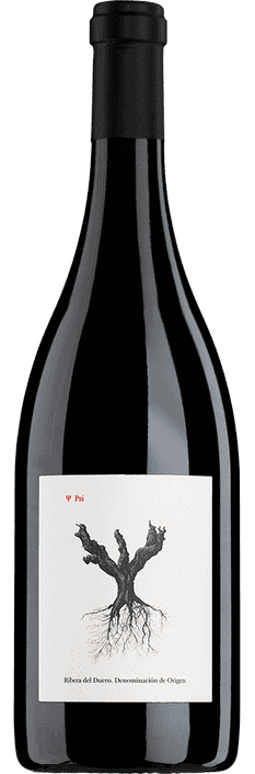 2022 Psi Ribera del Duero DO Bodegas y Viñedos Alnardo