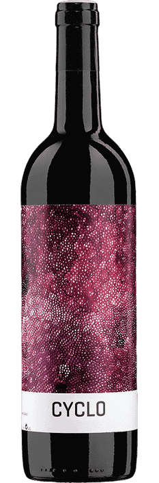 2020 Cyclo Ribera del Duero DO Finca Torremilanos Bodegas Peñalba Lopez