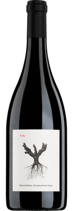 2022 Psi Ribera del Duero DO Bodegas y Viñedos Alnardo