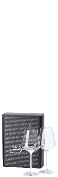 Gabriel Glas StandArt 2er Set Verre 2 verres im Design-Karton