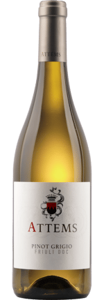 2024 Pinot Grigio Friuli DOC Conti Attems