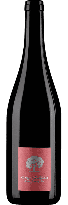 2024 Pinot Noir Jeninser Jenins Graubünden AOC Weingut Eichholz