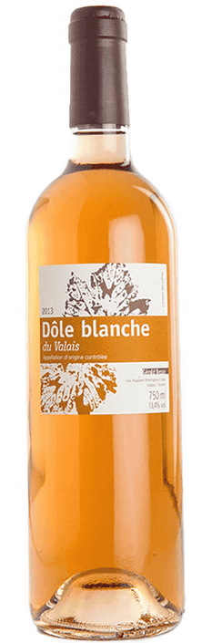 2022 Complices Rosé Martigny Valais AOC Domaine Gérald Besse (Bio)