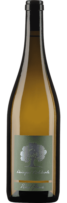 2025 Pinot Blanc Jenins Graubünden AOC Weingut Eichholz (Bio)