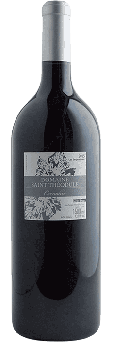2022 Cornalin Les Serpentines Domaine St-Théodule Valais AOC Domaine Gérald Besse (Bio)