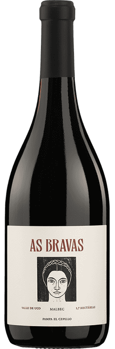 2016 Malbec El Enemigo As Bravas Pampa Cepillo Valle de Uco Puerto Ancona