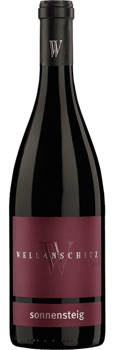 2011 Blaufränkisch Sonnensteig Neckenmarkt-Burgenland Weingut Wellanschitz