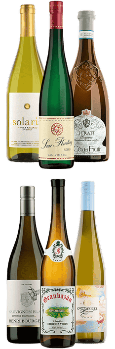 Tasting Box Frisch & Fruchtig