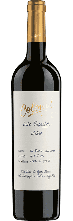 2020 Malbec Lote Especial La Brava Valle Calchaquí Bodega Colomé