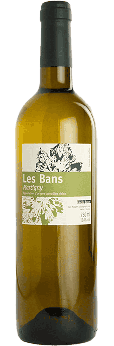 2024 Chasselas Les Bans Martigny Valais AOC Domaine Gérald Besse (Bio)