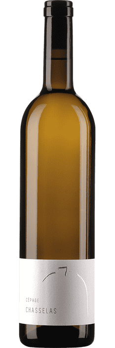2025 Chasselas Vully AOC Cave et Domaine du Petit Château