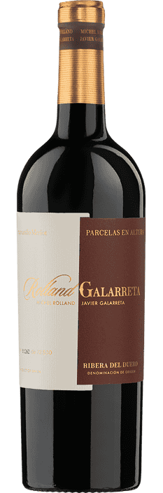 2020 Ribera del Duero DO Michel Rolland & Javier Galarreta Bodegas R G