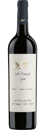 2021 Syrah Lote Especial Valle Calchaquí Bodega Colomé
