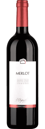 2024 Merlot Valais AOC L'Orpailleur - Frédéric Dumoulin