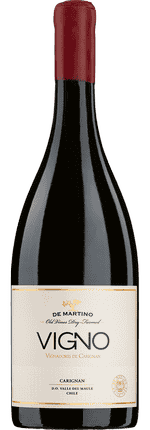 2019 Carignan Vigno La Aguada Vineyard Valle del Maule DO Viña de Martino