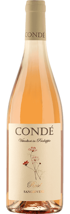 2023 Sangiovese Rosé Forlì IGT Azienda Vitivinicola Condé