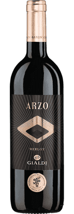 2018 Arzo Merlot Ticino DOC Gialdi Vini