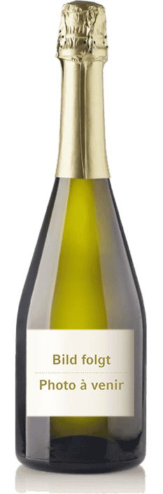 2004 Champagne Extra Brut R. D. Bollinger
