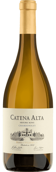 2022 Chardonnay Catena Alta Mendoza Bodega y Viñedos