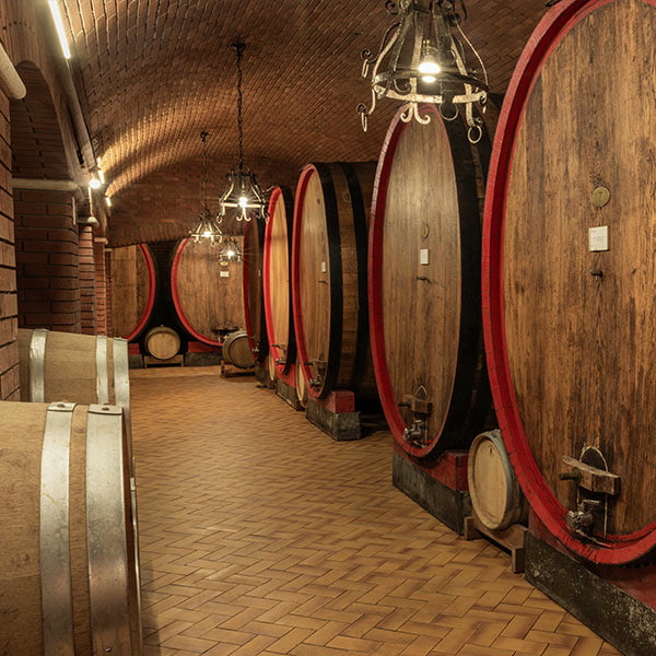Wine&Dine Allegrini: la Vénétie à Montreux