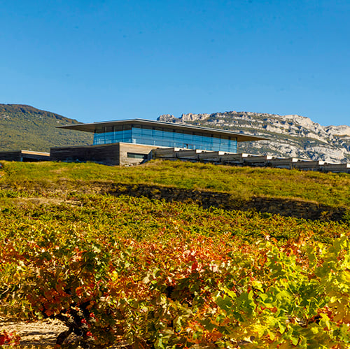 Wine&Dine Bodegas Baigorri