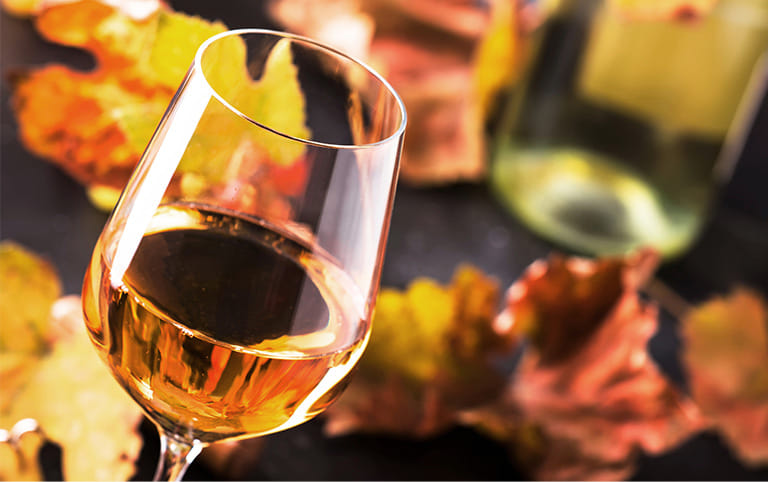 Grosse Herbst-Degustation