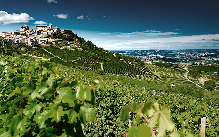 Wine & Dine mit Michele Chiarlo