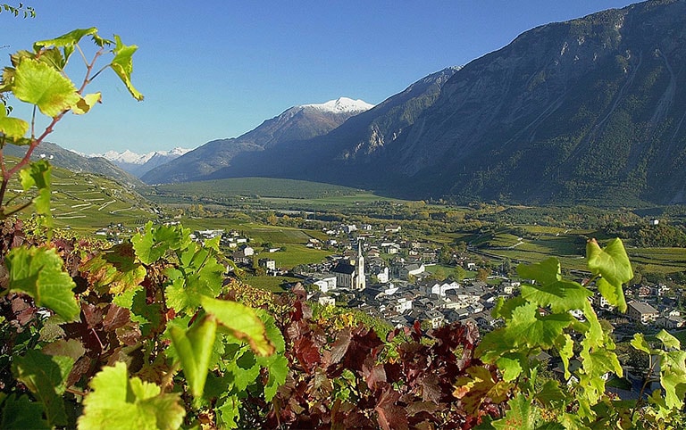 Schwiizer Chuchi & Wy Fäscht