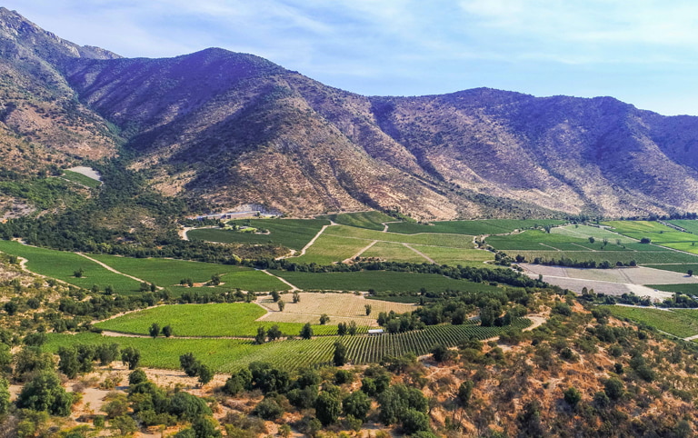 San Pedro Wine Night - Taste the Andes