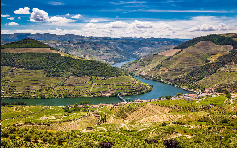 Weinparcours "Ribera del Duero" und Paella