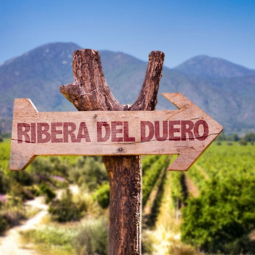 Un voyage dans la Ribera del Duero