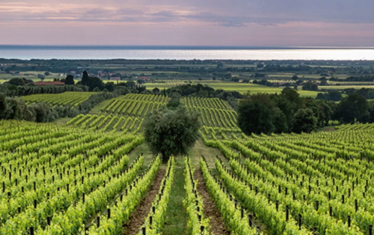 Die Toskana - Heimat von Filialleiter Max Badaracchi