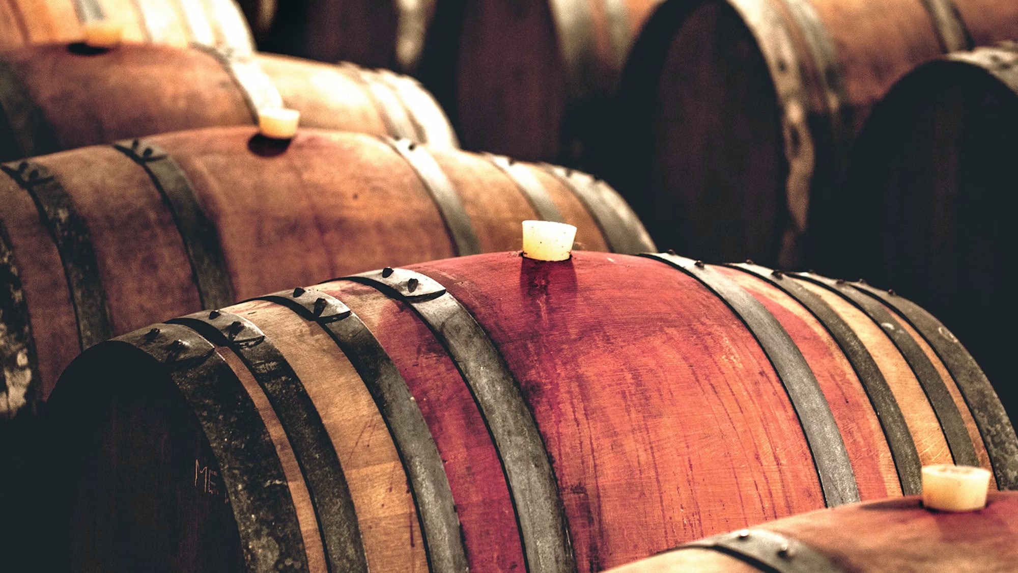 Vin, termes, savoir-faire