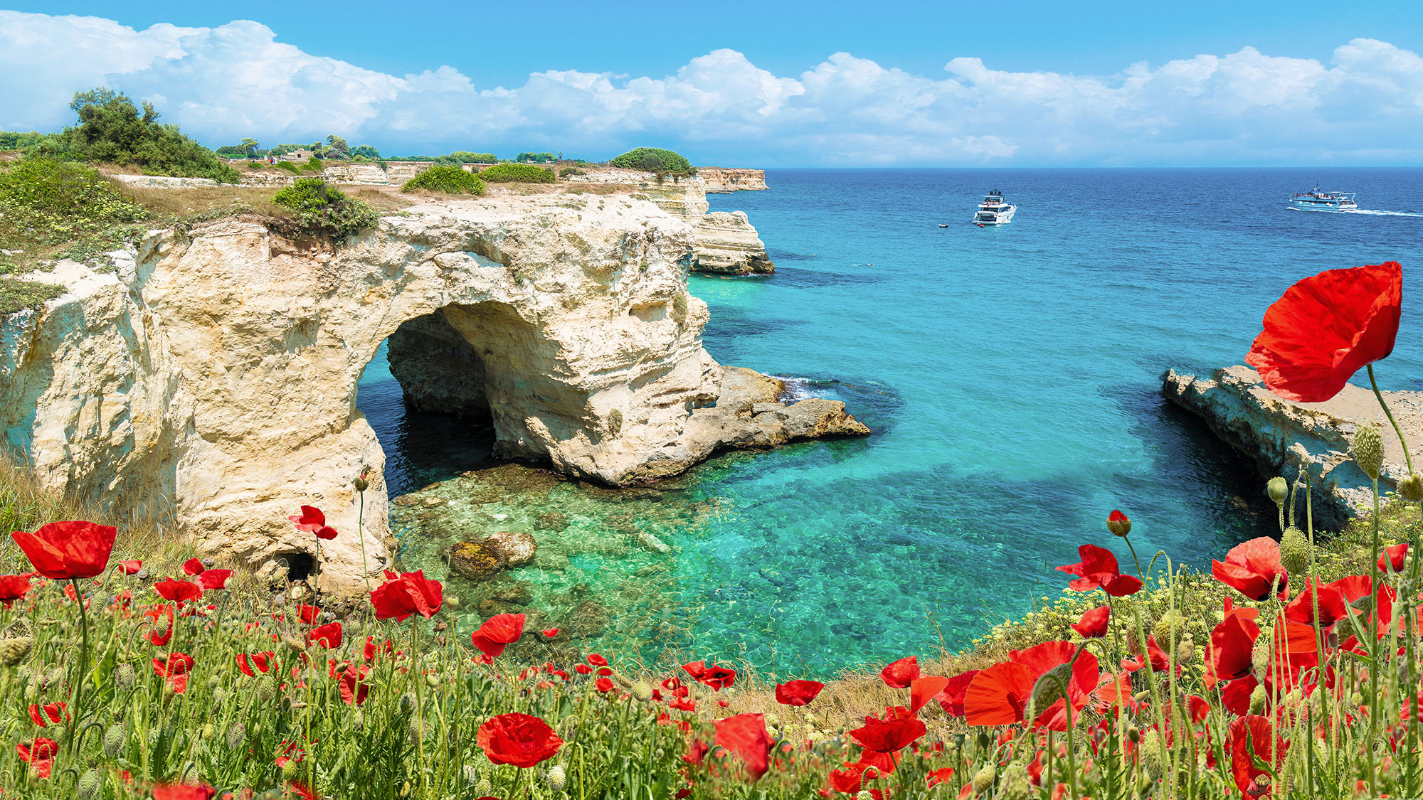 La Méditerranée et les plaisirs du vin