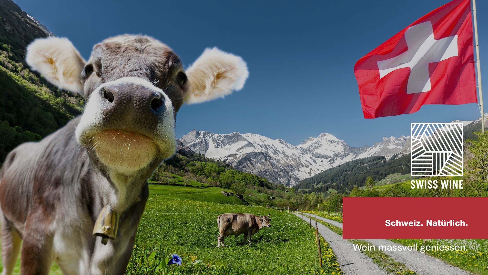 Tradition und Kultur in der Schweiz