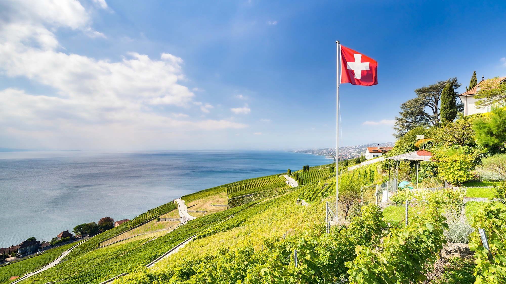 Schweiz, Lavaux, Wein