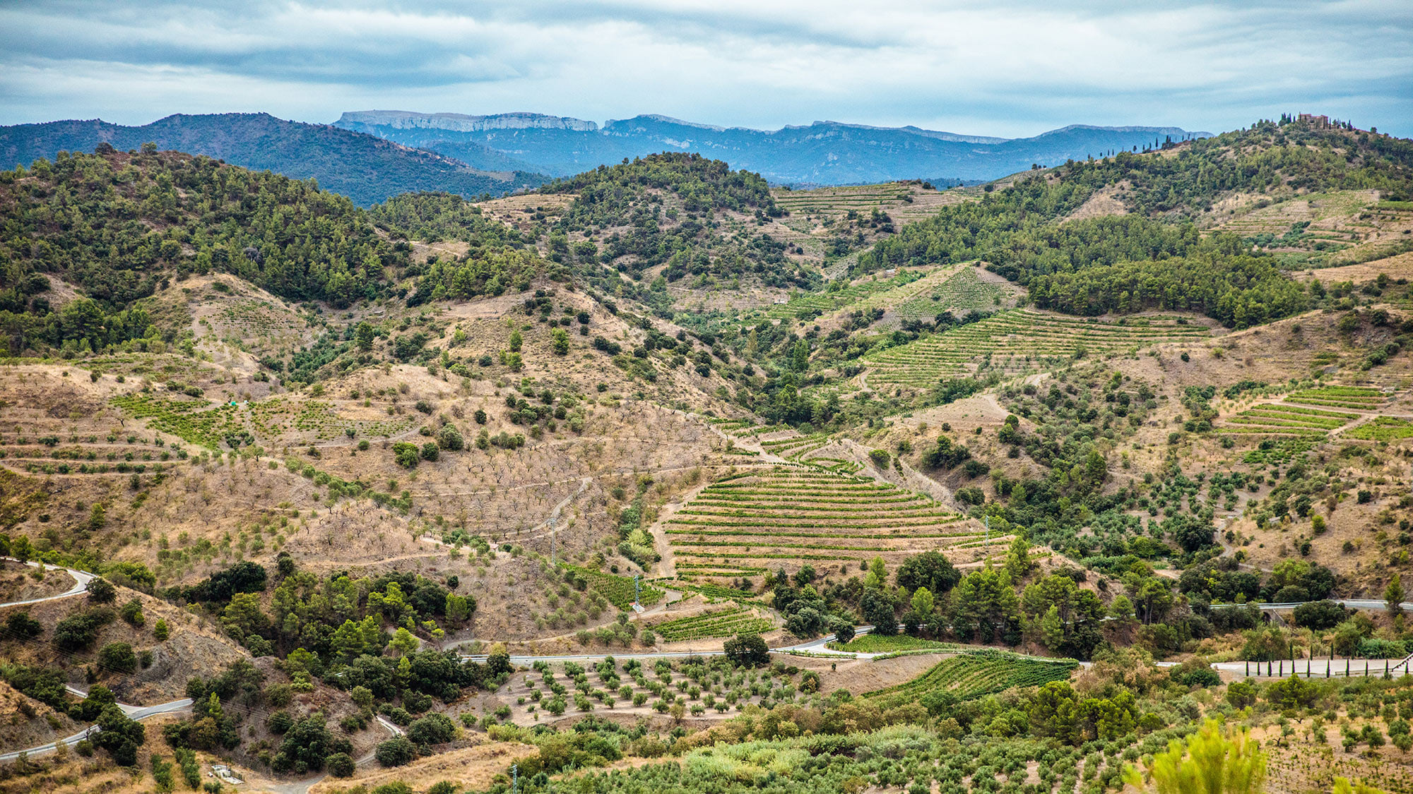 Rochers escarpés et terrasses abruptes dans le Priorat