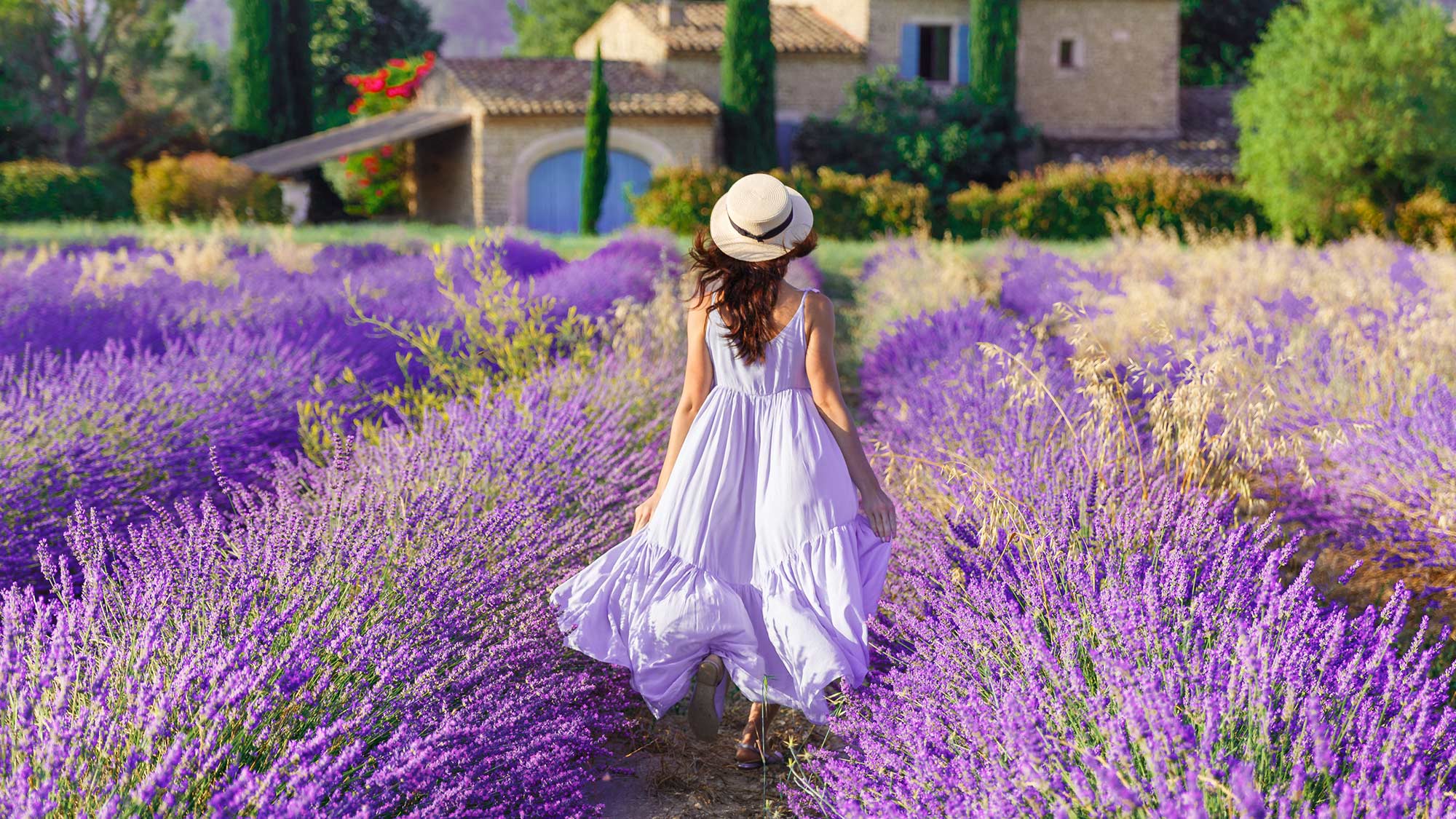Provence Investment