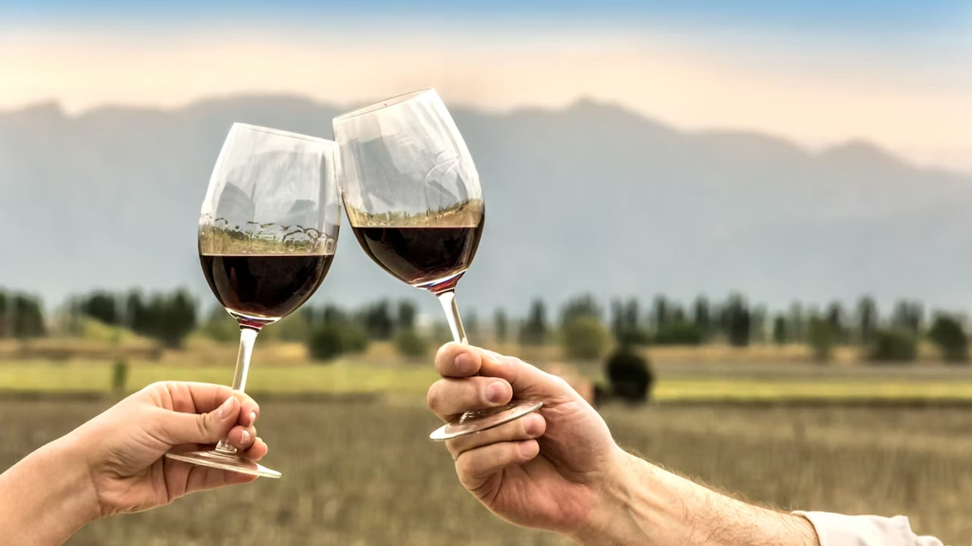 Mit Malbec kann man gut anstossen