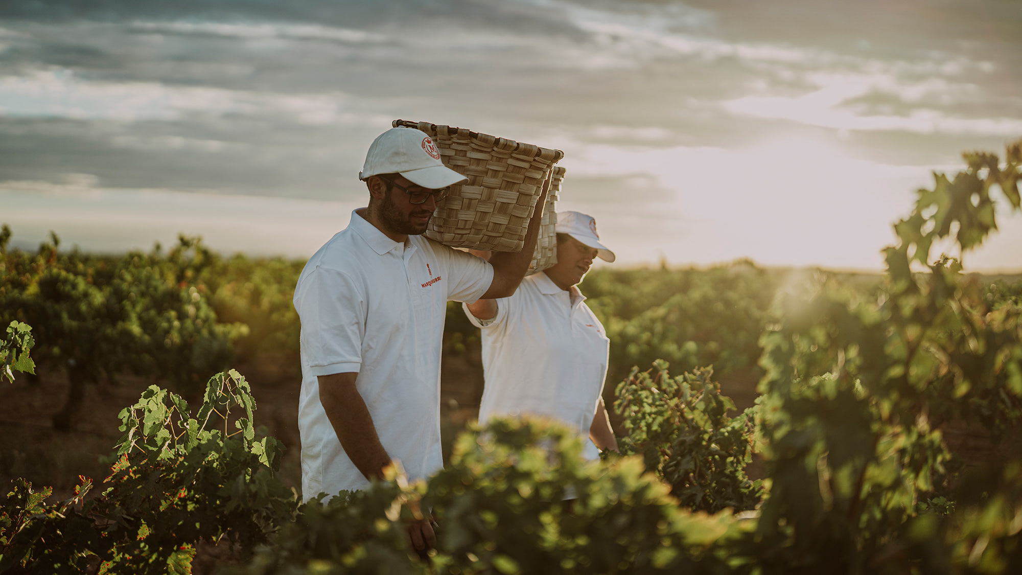 La période des vendanges est toujours un moment particulier