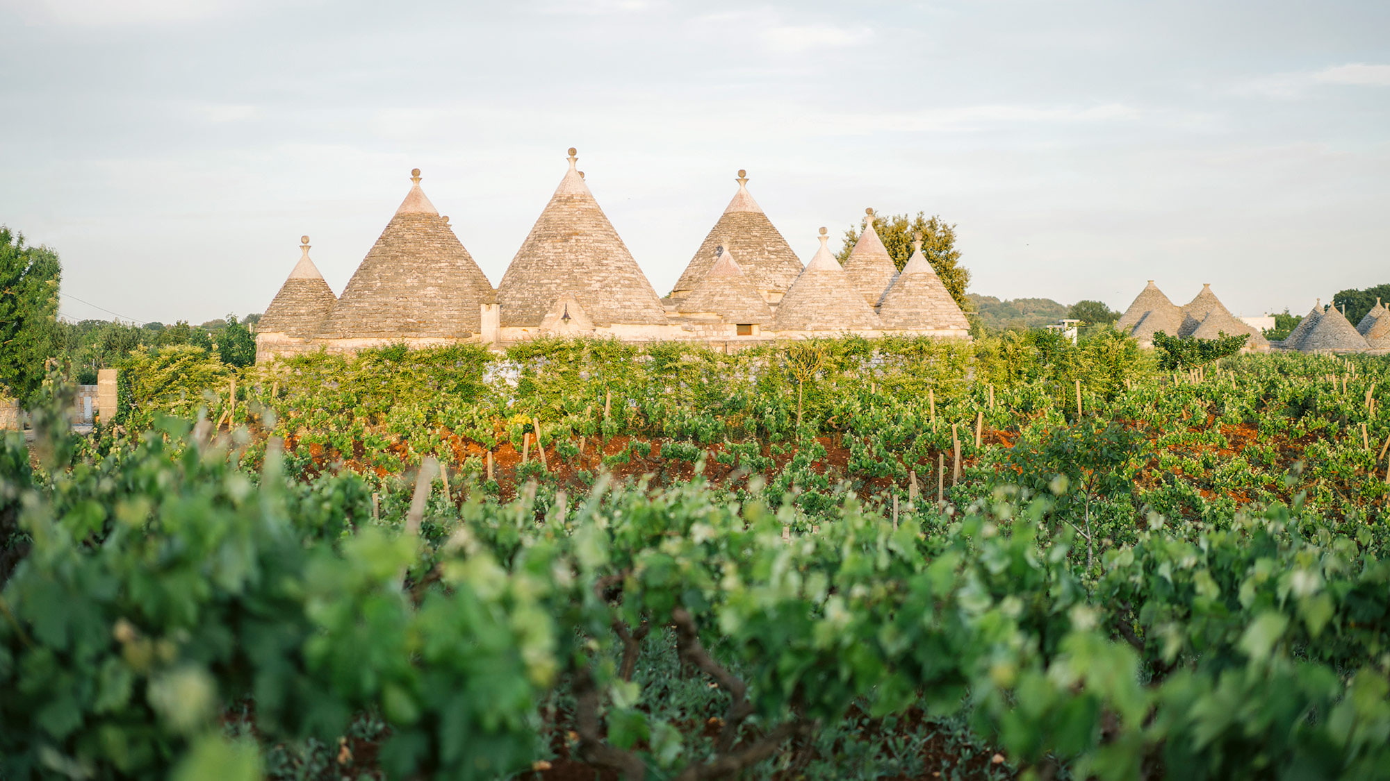 Les trulli des Pouilles: petites maisons rondes aux toits pointus en pierre
